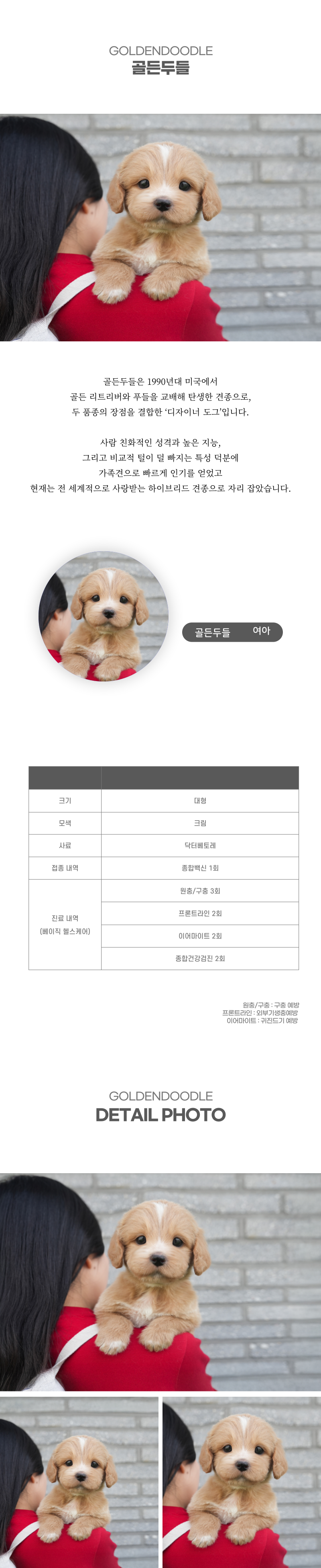 골든두들_상세이미지_2